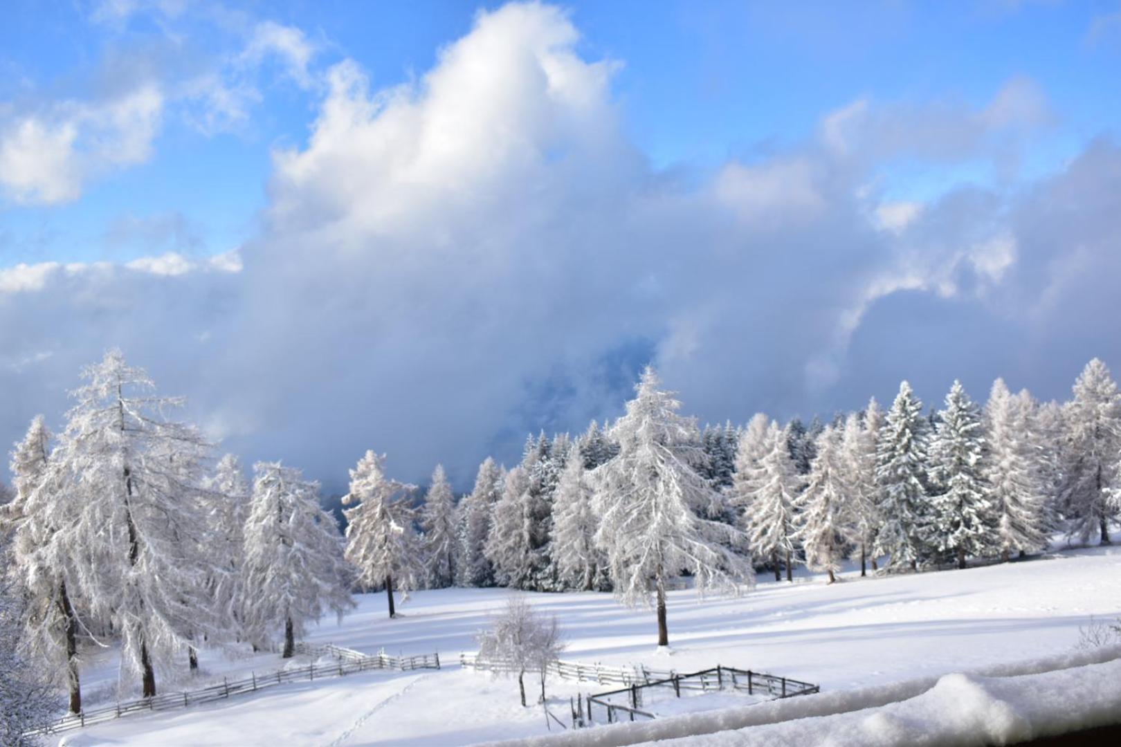 Gasthof Schmiederalm Aldino Zewnętrze zdjęcie